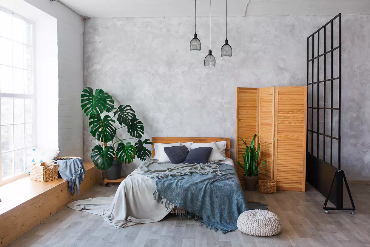 Kasa's project illustration